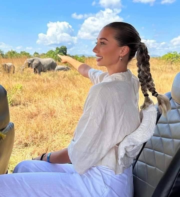 Tourist in a safari vehicle pointing at elephants in the wild