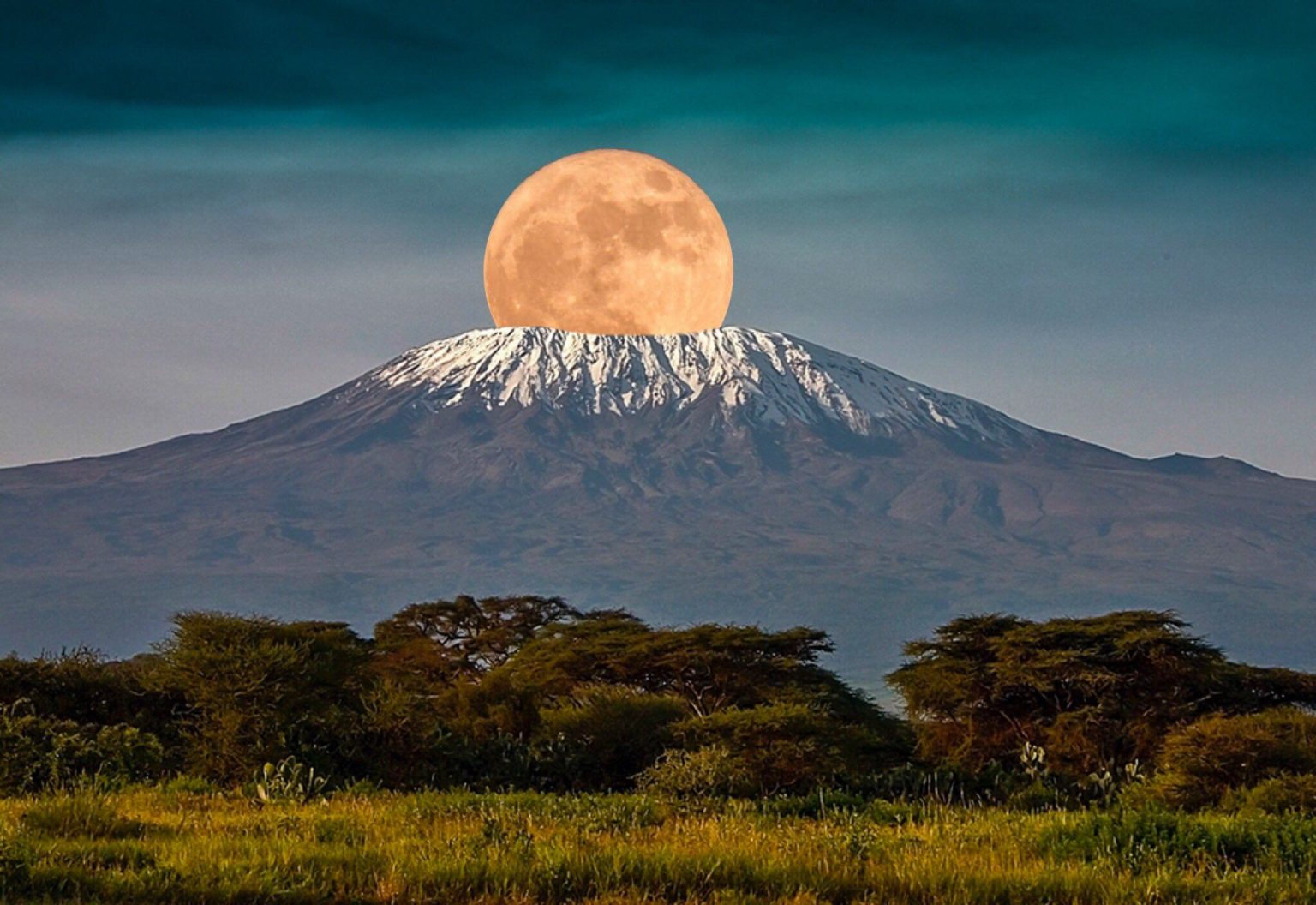 Hikers on the snowy summit of Kilimanjaro