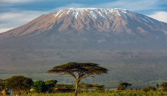 A simple tent campsite representing camping on Kilimanjaro