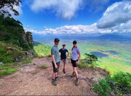 The endemic Usambara eagle owl