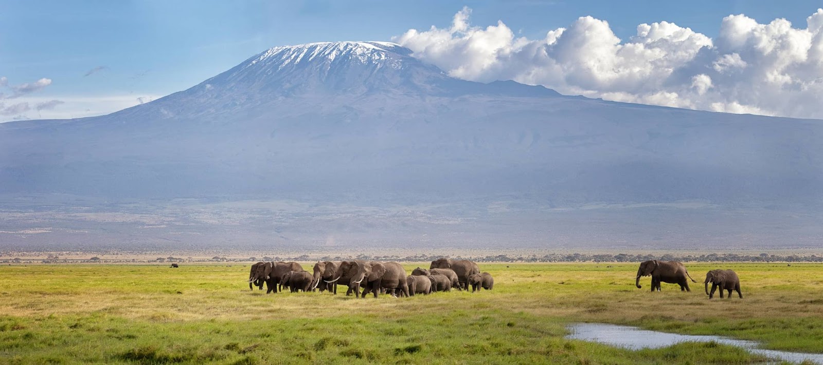 View of the Ngorongoro Crater from the rim