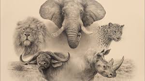 Wildebeest migration crossing a river in the Serengeti