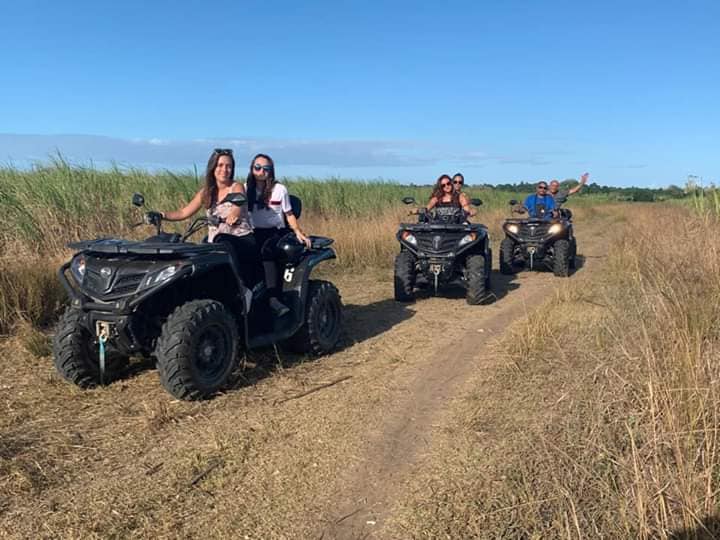Happy tourist taking a selfie with elephants in the background