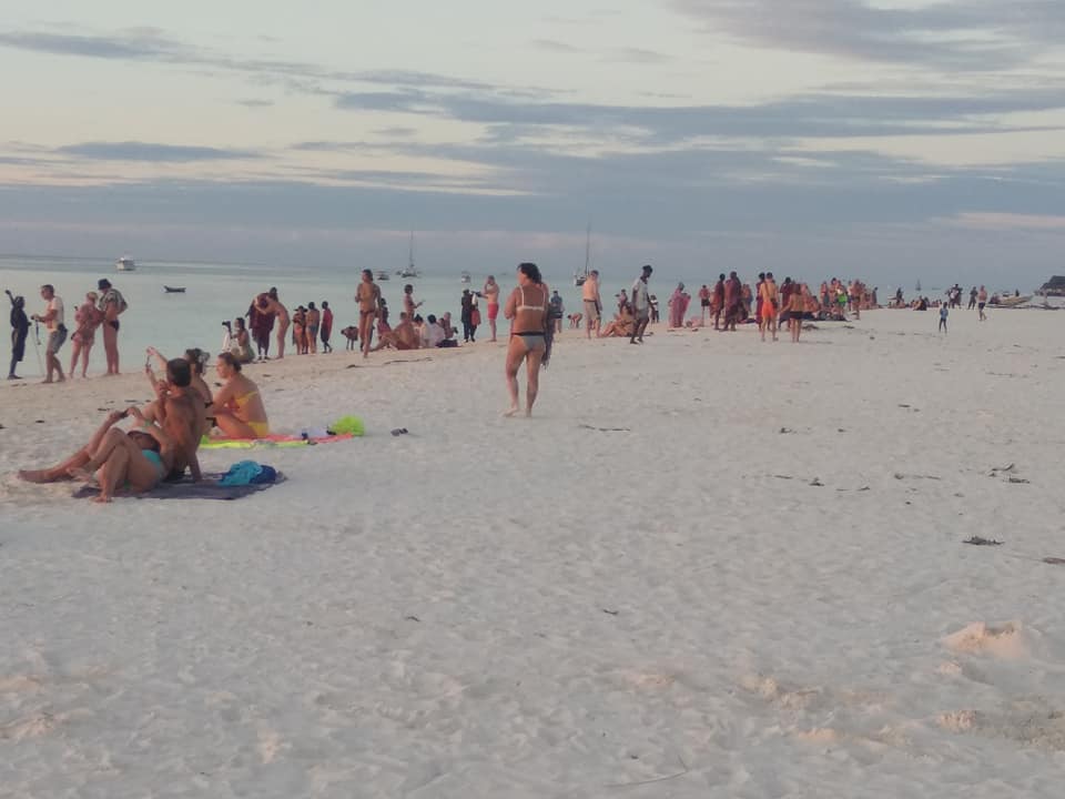 A gathering of many safari vehicles in a vast savanna