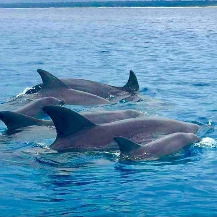 Adventure placeholder 12