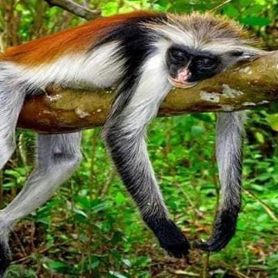 Adventure placeholder 13