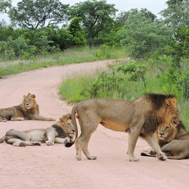 Adventure placeholder 15