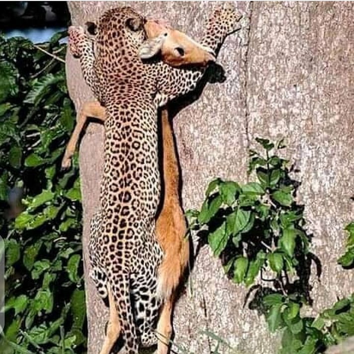 Adventure placeholder 18