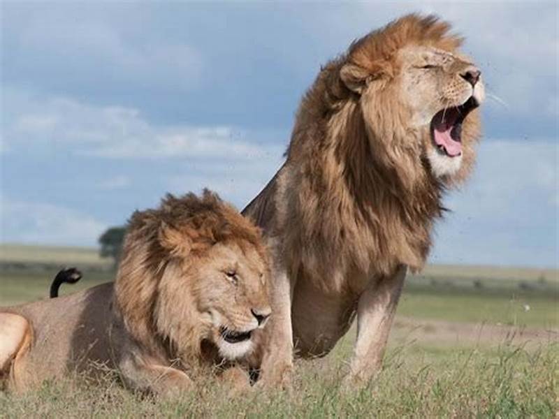 Adventure placeholder 20