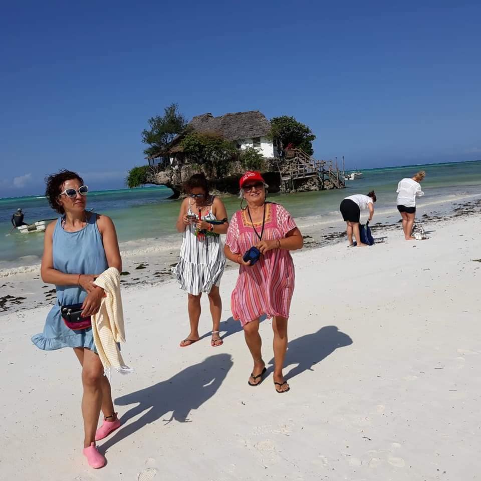 Lion resting on a rock in the Serengeti