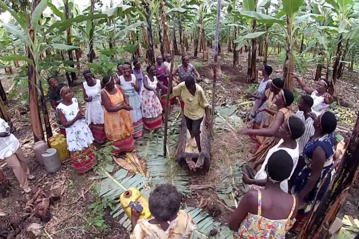 A Chagga guide showing coffee beans on a farm near Kilimanjaro