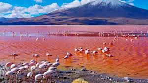 The surreal, salt-crusted landscape of Lake Natron