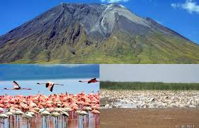 Landscape view of Ngorongoro Crater