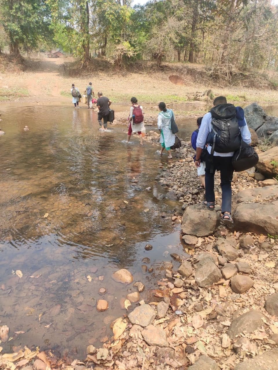The great migration of wildebeest crossing the Mara River