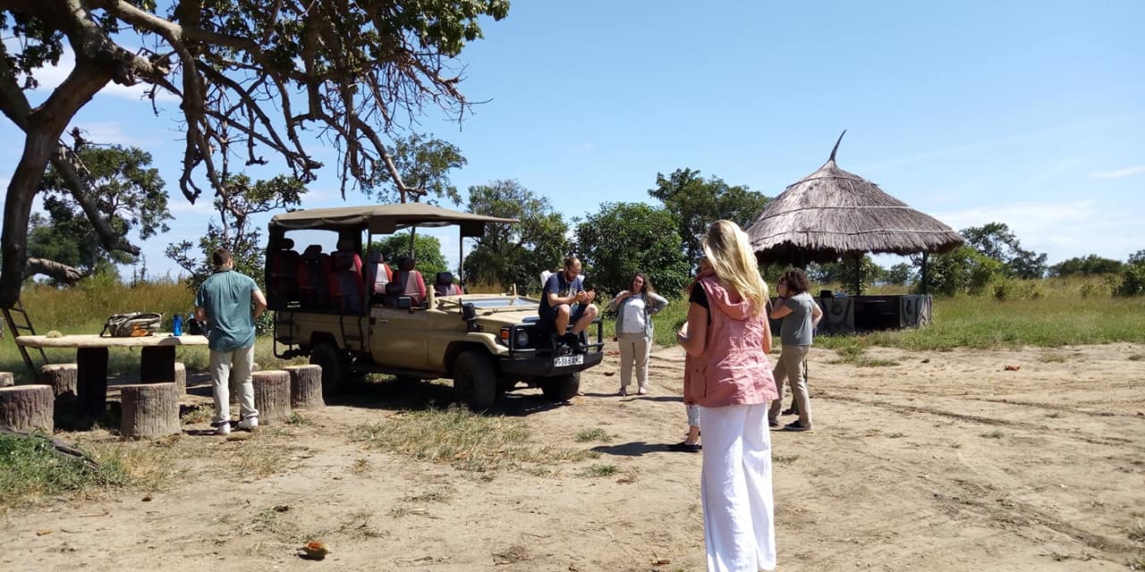 Spotted hyenas interacting on the plains of Mikumi