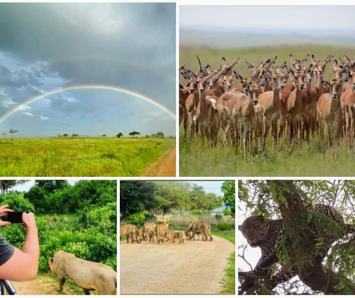 Waterfall in Udzungwa Mountains National Park