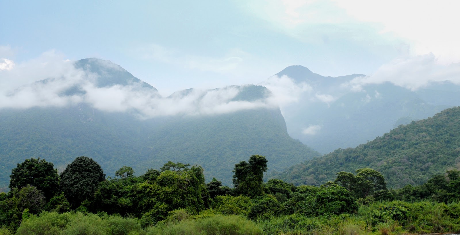 A serene view over a vast green landscape, representing the Mahale Mountains
