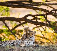 Fishing boat on Lake Tanganyika